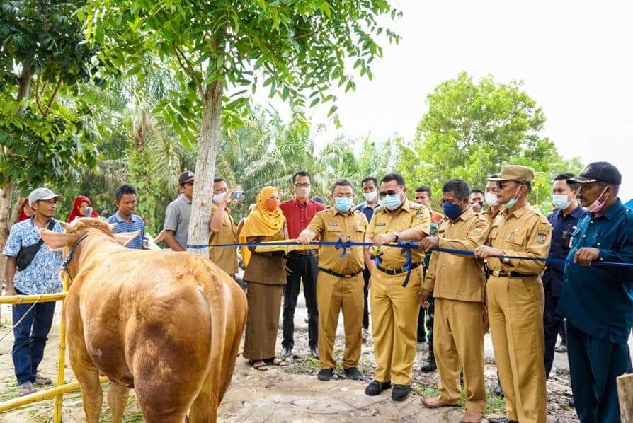 Tempat Masyarakat Membeli Daging Sehat yang Dijaminan Dinas Peternakani