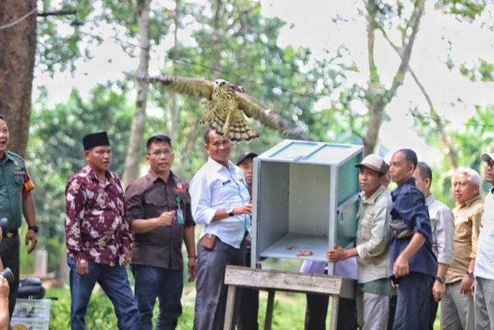 BBKSDA Riau Gelar Lomba Fotografi di Desa Wisata Buluh Cina BBKSDA Riau Gelar Lomba Fotografi di Desa Wisata Buluh Cinai