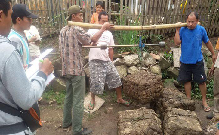 Harga Karet di Riau Alami Penurunan Harga Karet di Riau Alami Penurunani