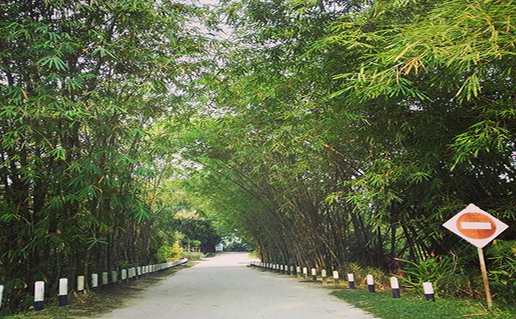 Hari Jadi Pekanbaru, Masuk Alam Mayang Gratis Hari Jadi Pekanbaru, Masuk Alam Mayang Gratisi