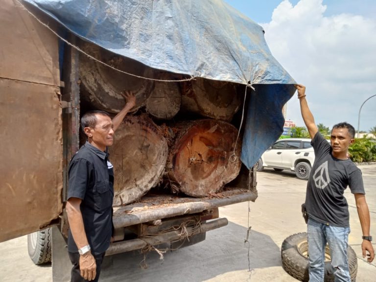 Polsek Kampar Kiri Berhasil Tangkap Mobil Bermuatan Kayu Ilegalloging di Desa Lipat Kaini