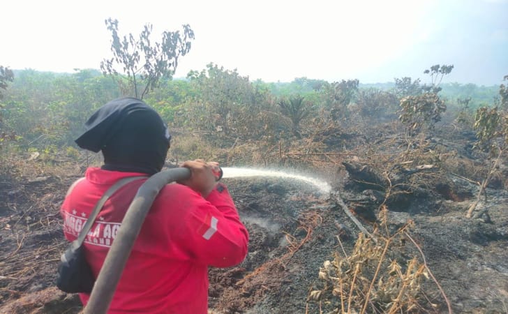 1.159 Titik Api di Wilayah Sumatera, 53 di Antaranya Ada di Riau 1.159 Titik Api di Wilayah Sumatera, 53 di Antaranya Ada di Riaui