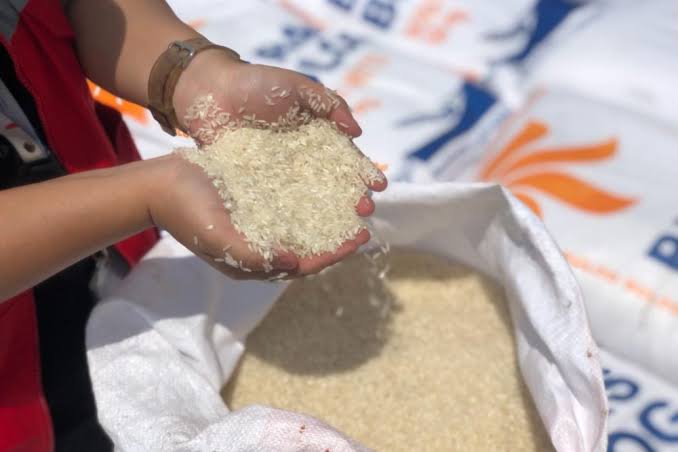 Stok Beras di Riau Aman Hingga Februari 2024 Stok Beras di Riau Aman Hingga Februari 2024i