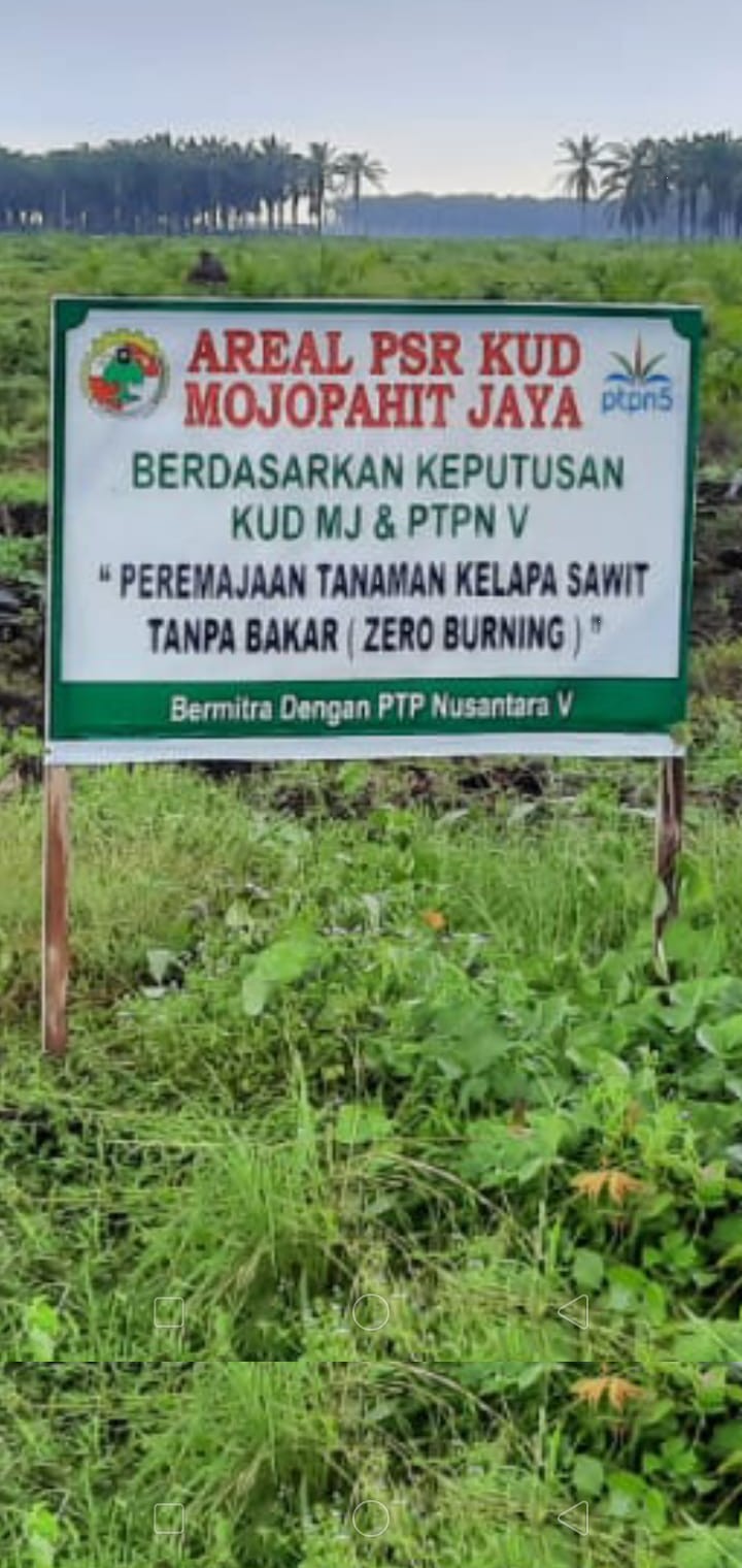 Somasi ke-2 Dilangsungkan Kuasa Hukum Freddy Simanjuntak ke PTPN V Somasi ke-2 Dilangsungkan Kuasa Hukum Freddy Simanjuntak ke PTPN Vi