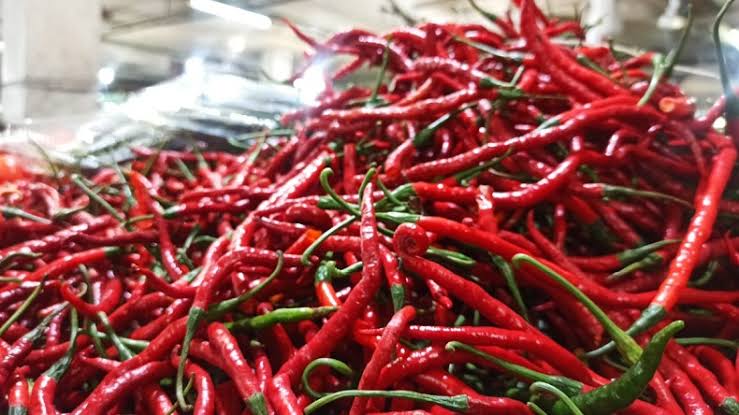Harga Cabai di Pekanbaru Tembus Rp85.000/Kg Harga Cabai di Pekanbaru Tembus Rp85.000/Kgi