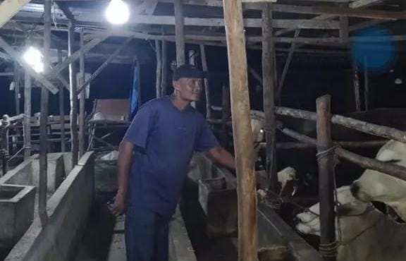 Warga Rimbo Panjang Minta Pemilihan Ketua RT 01 RW 02 Dusun II Dibatalkan, Kandidat Alfiandi Diduga Tidak Memenuhi Syarat Warga Rimbo Panjang Minta Pemilihan Ketua RT 01 RW 02 Dusun II Dibatalkan, Kandidat Alfiandi Diduga Tidak Memenuhi Syarati