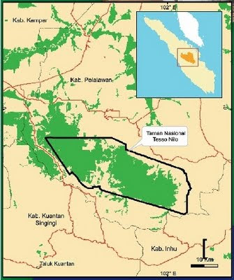 Masyarakat Adat Kritik Penegakan Hukum di TNTN: Jangan Tebang Pilih, Anak Negeri Ditangkap, Cukong Dibiarkan Masyarakat Adat Kritik Penegakan Hukum di TNTN: Jangan Tebang Pilih, Anak Negeri Ditangkap, Cukong Dibiarkani