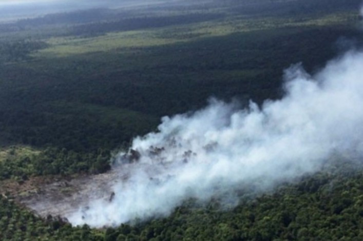 Ratusan Hotspot Terdeteksi di 11 Kabupaten/Kota di Riau Ratusan Hotspot Terdeteksi di 11 Kabupaten/Kota di Riaui