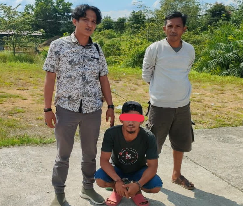 Pengedar Sabu di Tambusai, Keok di Tangan Satnarkoba Polres Rohul Pengedar Sabu di Tambusai, Keok di Tangan Satnarkoba Polres Rohuli