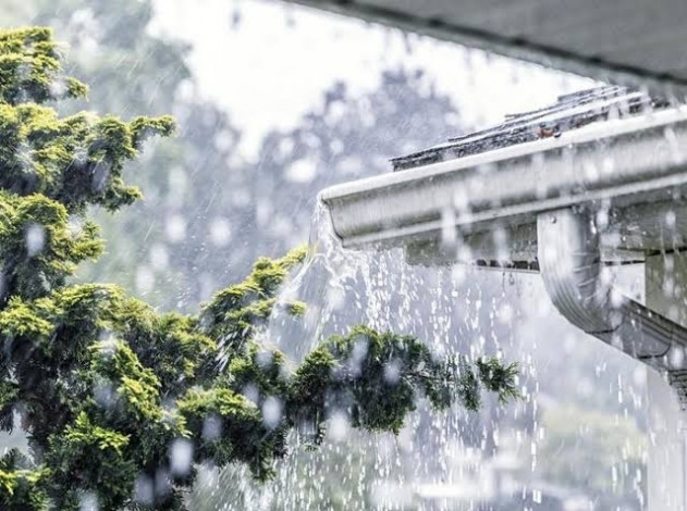 Riau Bakal Diguyur Hujan Ringan hingga Lebat