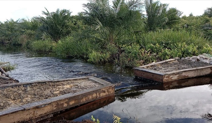 Gara-gara Pembangunan Kanal Bloking BRG Tanpa Izin, Kebun Warga Riau Terendam Banjir Gara-gara Pembangunan Kanal Bloking BRG Tanpa Izin, Kebun Warga Riau Terendam Banjiri