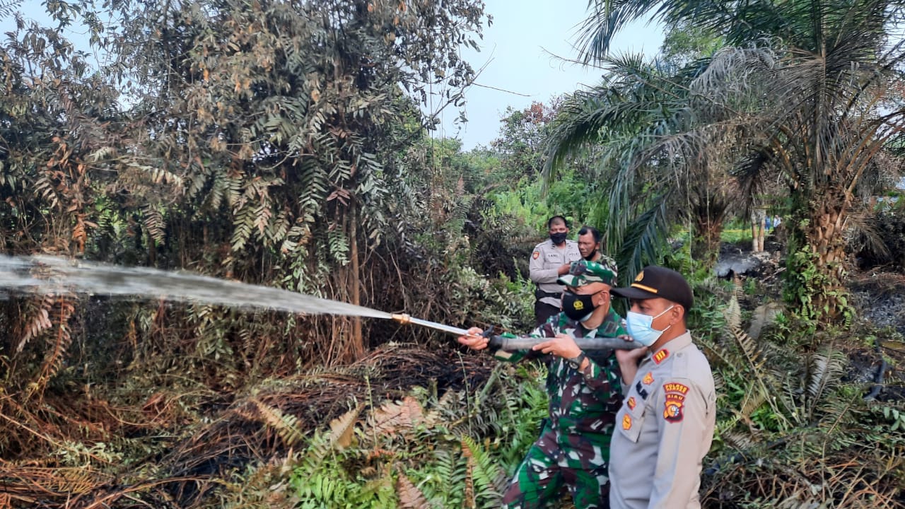 Kebakaran Lahan Sawit di Pandau Jaya, Kapolsek Siak Hulu Bersama Danramil Pimpin Pemadaman Kebakaran Lahan Sawit di Pandau Jaya, Kapolsek Siak Hulu Bersama Danramil Pimpin Pemadaman i