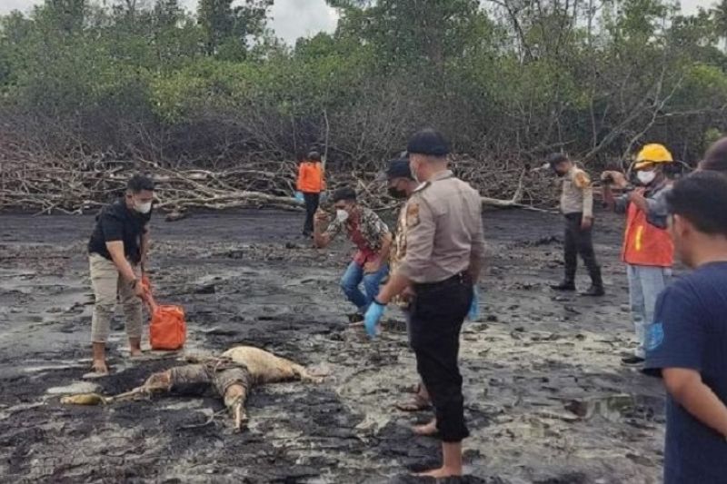 Mayat Tanpa Kepala Ditemukan di Pantai Bengkalisi