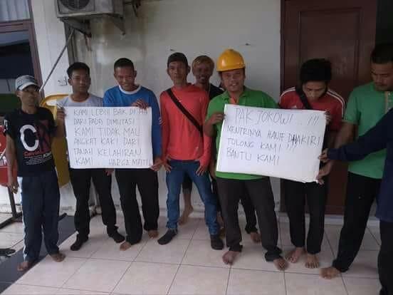 Belasan Karyawan PT NSP Meranti Demo, ini Sebabnya Belasan Karyawan PT NSP Meranti Demo, ini Sebabnyai