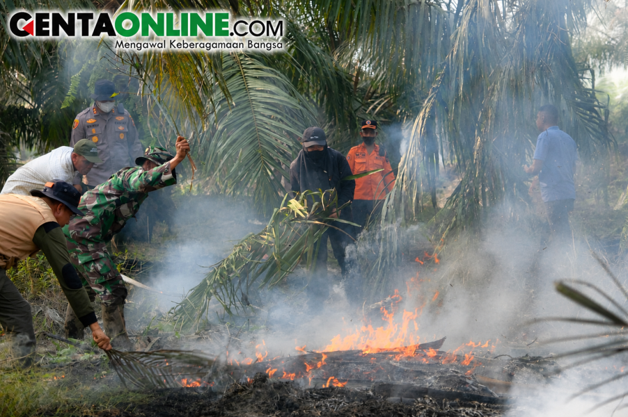 Karhutla Cagar Biosfer Tasik Betung Siak Capai 2 Hektare, Bupati Afni Minta Masyarakat Turun Tangani