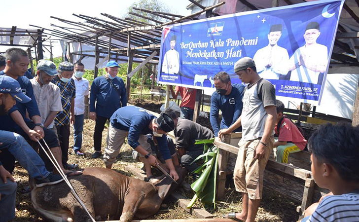 DPC Demokrat Pekanbaru Bagikan Daging Kurban DPC Demokrat Pekanbaru Bagikan Daging Kurbani