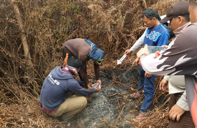 Diduga Pemicu Lahan Terbakar, Pencari Madu Lebah Ditangkap Polres Bengkalisi
