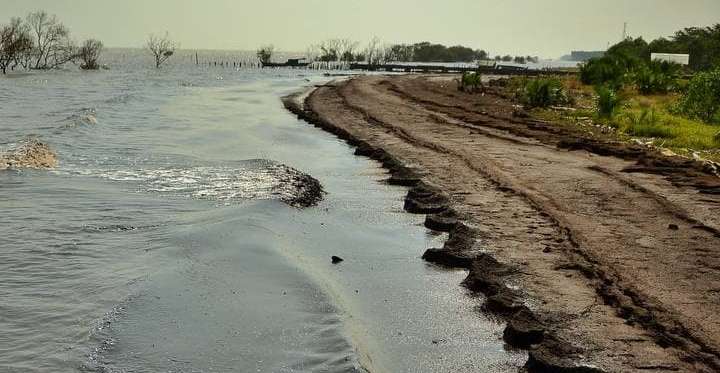 139 Kilometer Abrasi di Riau Sudah Masuk RPJMN 139 Kilometer Abrasi di Riau Sudah Masuk RPJMNi