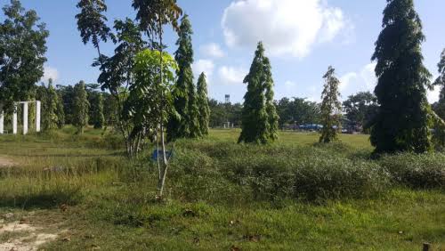 DPRD Pekanbaru Sayangkan Taman PCR yang Tampak Kumuh dan Bersemaki
