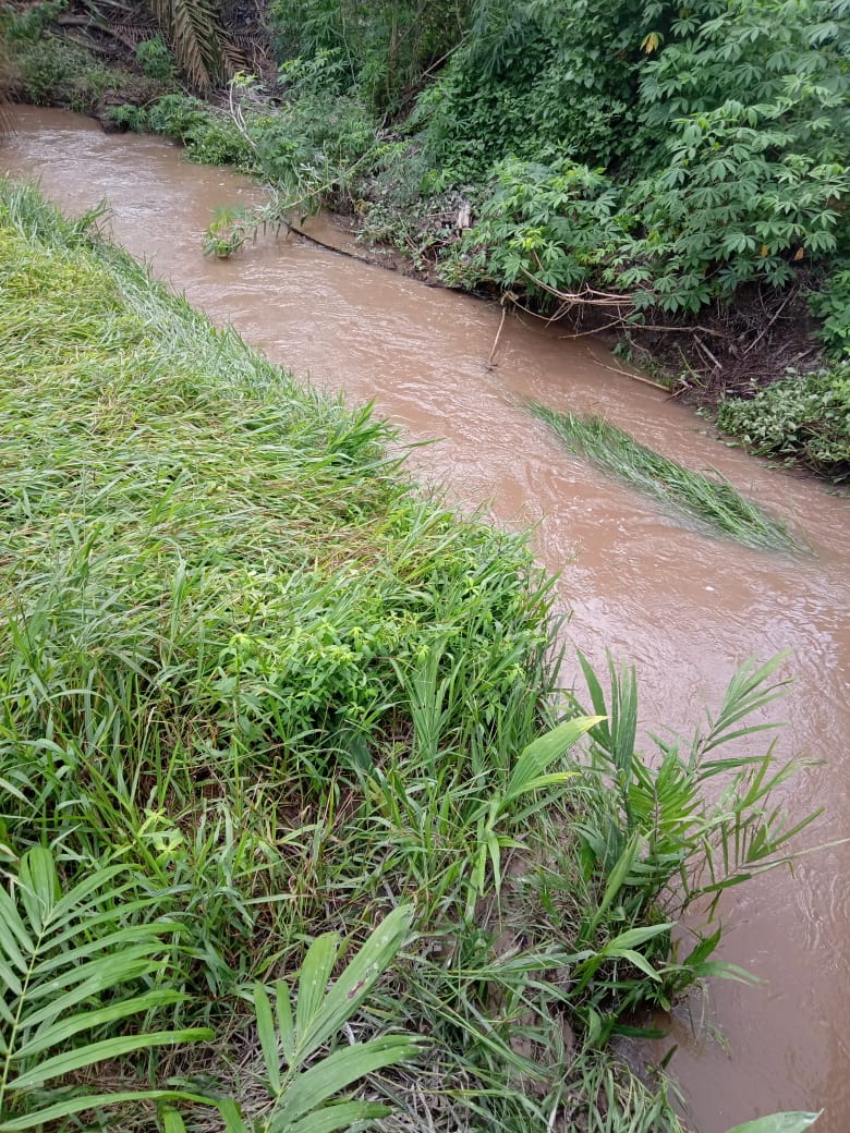 Kuat Dugaan PT. Musimas Rusak Sungai dan Anak Sungai di Pelalawan