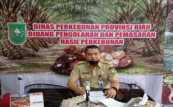 Harga Sawit Tembus Rp 3.533,81 Perkilogram