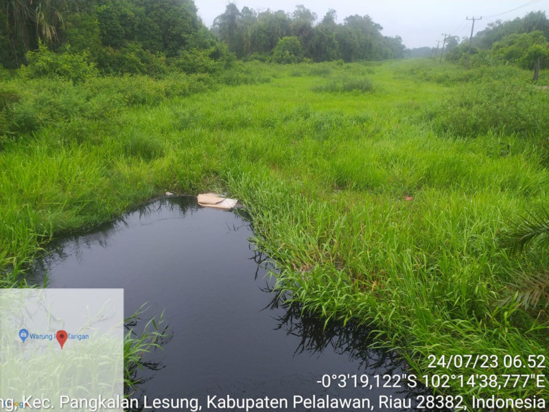 Nelayan Bukit Garam Keluhkan Sungai Genduang Tertutup Kumpai, Ikar Sebut PT SLS Tak Lagi Bersihkan Kumpai Nelayan Bukit Garam Keluhkan Sungai Genduang Tertutup Kumpai, Ikar Sebut PT SLS Tak Lagi Bersihkan Kumpaii