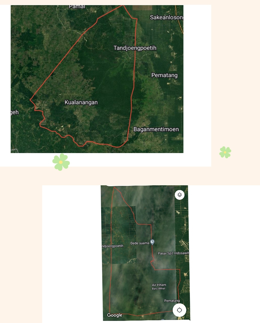 PT. Musim Mas Menyerobot Lahan Desa Air Hitam dan Desa Lubuk Kembang Bunga. Bupati Kemana ??? PT. Musim Mas Menyerobot Lahan Desa Air Hitam dan Desa Lubuk Kembang Bunga. Bupati Kemana ???i