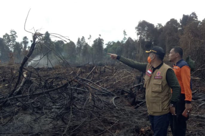 Polisi Tetapkan 3 Orang Tersangka Kebakaran Hutan Lindung Bukit Suligii