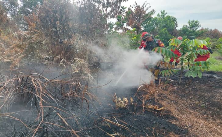 Polres Kampar Selidiki Penyebab Terbakarnya Lahan di Rimbo Panjang Polres Kampar Selidiki Penyebab Terbakarnya Lahan di Rimbo Panjangi