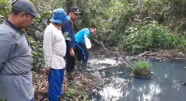 Kasus Pencemaran Lingkungan Limbah Beracun PKS milik YBS di Teluk Paman Pelaku Bisa Dipidana