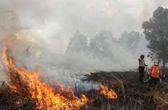 Riau Siaga Darurat Bencana Asap, BNPB Siap Beri Bantuan Operasi Udara Riau Siaga Darurat Bencana Asap, BNPB Siap Beri Bantuan Operasi Udarai
