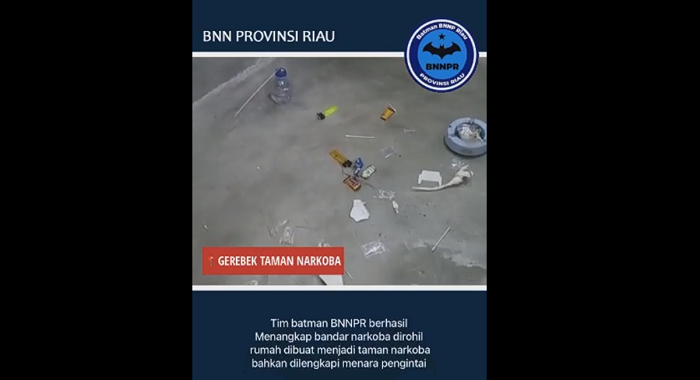 BNNP Riau Temukan 'Taman Narkoba' di Rokan Hilir BNNP Riau Temukan 'Taman Narkoba' di Rokan Hiliri
