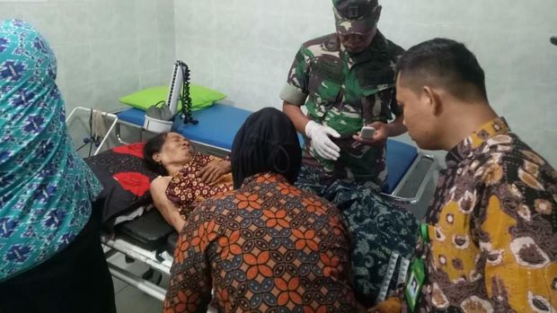Hendak Pulang ke Rumah, Petani Wanita Jambi Diserang Harimau