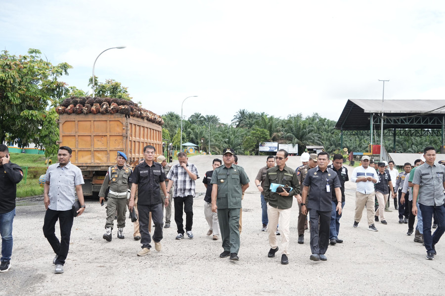 Buah Ilegal dari Hutan Tesso Nilo: Sidak Bupati Kuansing Bongkar Praktik di PT GSL Buah Ilegal dari Hutan Tesso Nilo: Sidak Bupati Kuansing Bongkar Praktik di PT GSLi