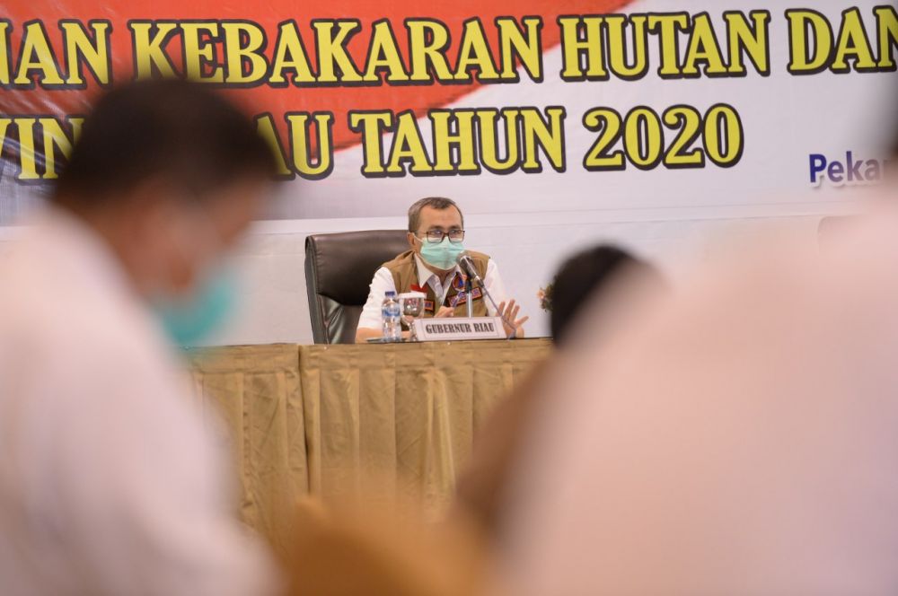Soal Karhutla, Gubri: Lebih Banyak Unsur Kesengajaan Soal Karhutla, Gubri: Lebih Banyak Unsur Kesengajaani