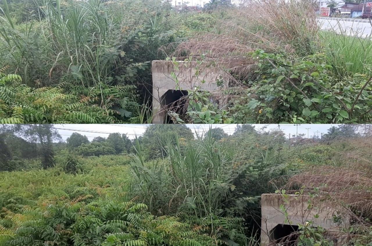Box Culvert Terbengkalai di Kampar, Buang-buang Anggaran ? ini Kata Kades Box Culvert Terbengkalai di Kampar, Buang-buang Anggaran ? ini Kata Kadesi