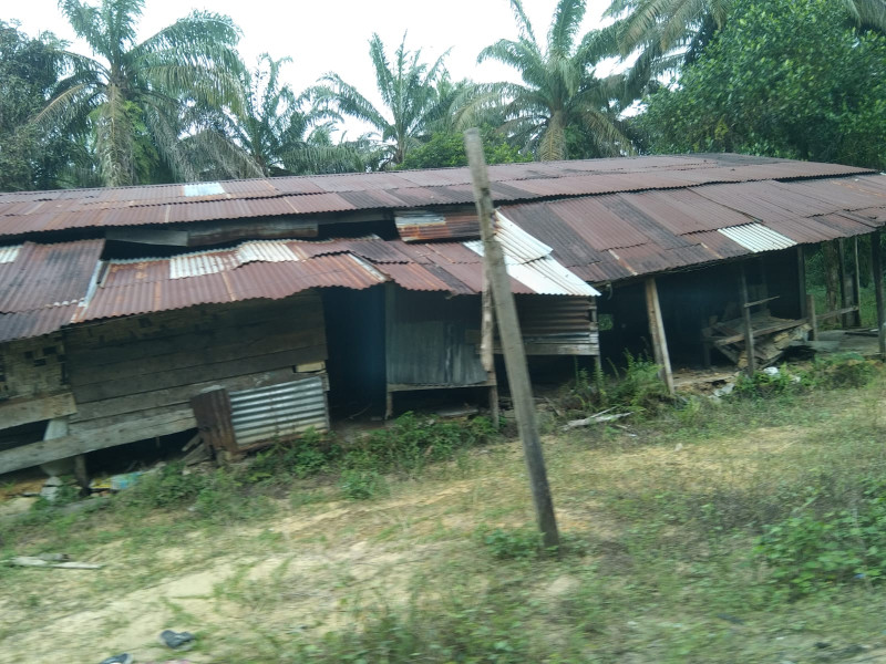 Perambahan Hutan Lindung di Tahura Sultan Syarif Hasyim: Dugaan Korupsi dan Alih Fungsi Lahan Terus Menjadi Sorotan Perambahan Hutan Lindung di Tahura Sultan Syarif Hasyim: Dugaan Korupsi dan Alih Fungsi Lahan Terus Menjadi Sorotani