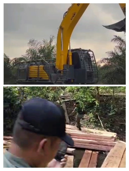Kayu Hutan Lindung Rimba Baling Dibabat Mantan Kades.i