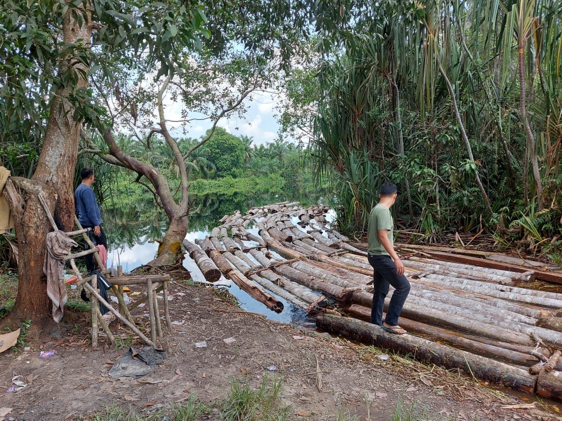 10 Ton Illegal Logging Diamankan dari Komplotan Mafia Mat Ari alias Anak Jenderal 10 Ton Illegal Logging Diamankan dari Komplotan Mafia Mat Ari alias Anak Jenderali