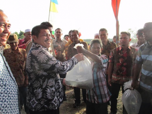 Budidaya Perikanan, Salah Satu Fokus DKP Bengkalis Budidaya Perikanan, Salah Satu Fokus DKP Bengkalisi