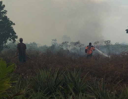 Lebih 20 Hektare Lahan di Rohil Terbakar Lebih 20 Hektare Lahan di Rohil Terbakari