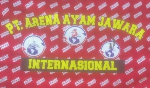 Tepis Berita Hoax Soal Sabung Ayam, Edy Ingatkan Wartawan Jangan Buat Berita Ngasal Tepis Berita Hoax Soal Sabung Ayam, Edy Ingatkan Wartawan Jangan Buat Berita Ngasali
