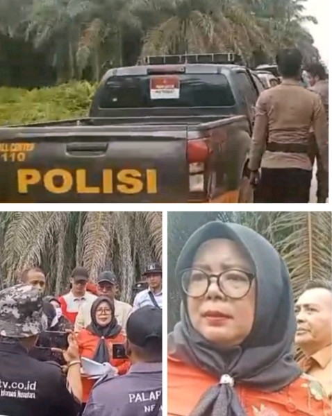 KSB Tuntut Kejelasan Sengketa 7.000 Hektare, PN Rohil Gelar Sidang Lapangan di Kebun Torgandai