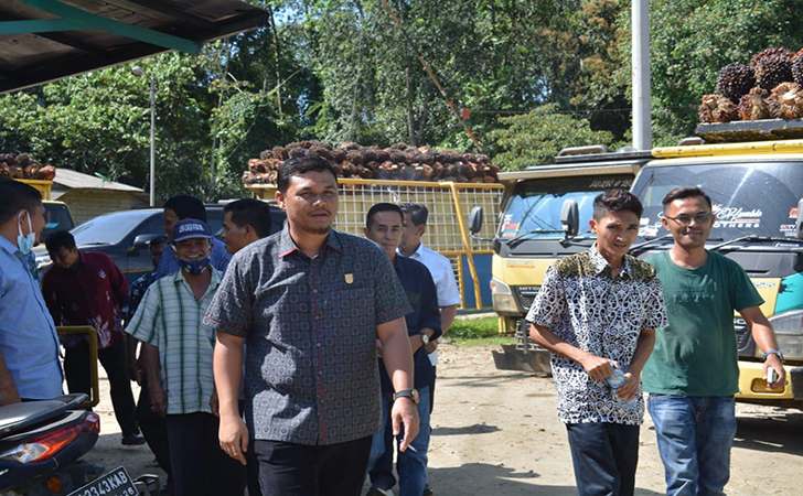 Ketua DPRD Kuansing Temukan PKS Beli Sawit dengan Harga Rendah: Ini Tak Bisa Ketua DPRD Kuansing Temukan PKS Beli Sawit dengan Harga Rendah: Ini Tak Bisai