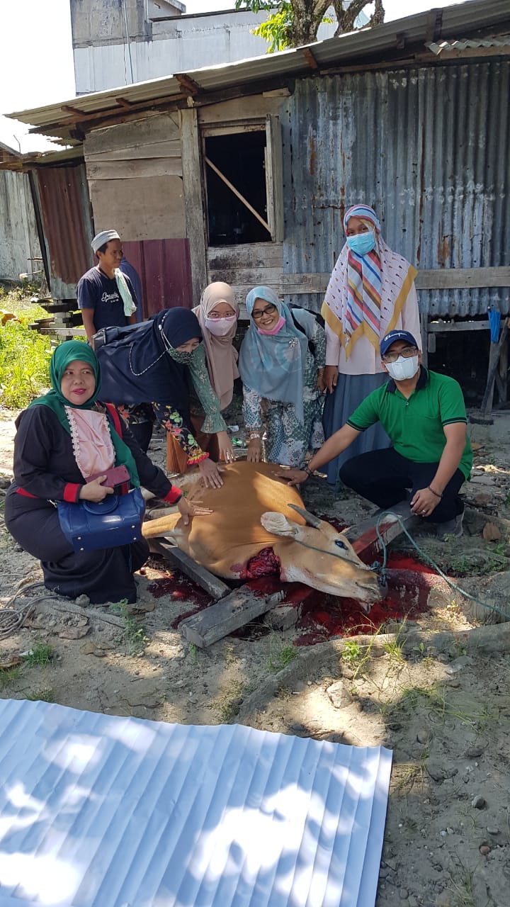 SPS Riau Berkurban 1 Ekor Sapi , Khairul Amri : Semoga Tahun Depan Bisa Ditingkatkan Lagi SPS Riau Berkurban 1 Ekor Sapi , Khairul Amri : Semoga Tahun Depan Bisa Ditingkatkan Lagii