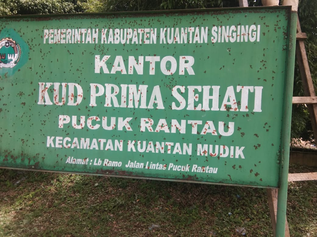 Kasus KKPA Koperasi Prima Sehati Kuansing Kasus KKPA Koperasi Prima Sehati Kuansingi