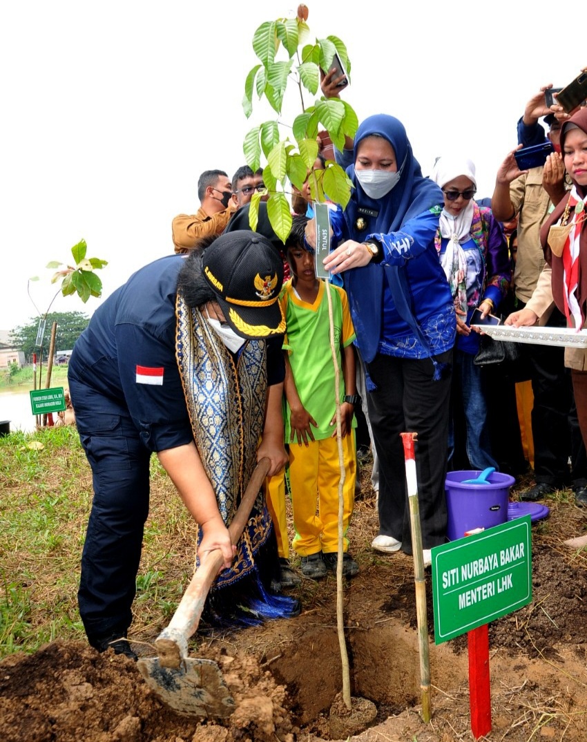 Menteri LHK RI Tanam Pohon Sentul Bersama Pelajar SD di Inhu Menteri LHK RI Tanam Pohon Sentul Bersama Pelajar SD di Inhui