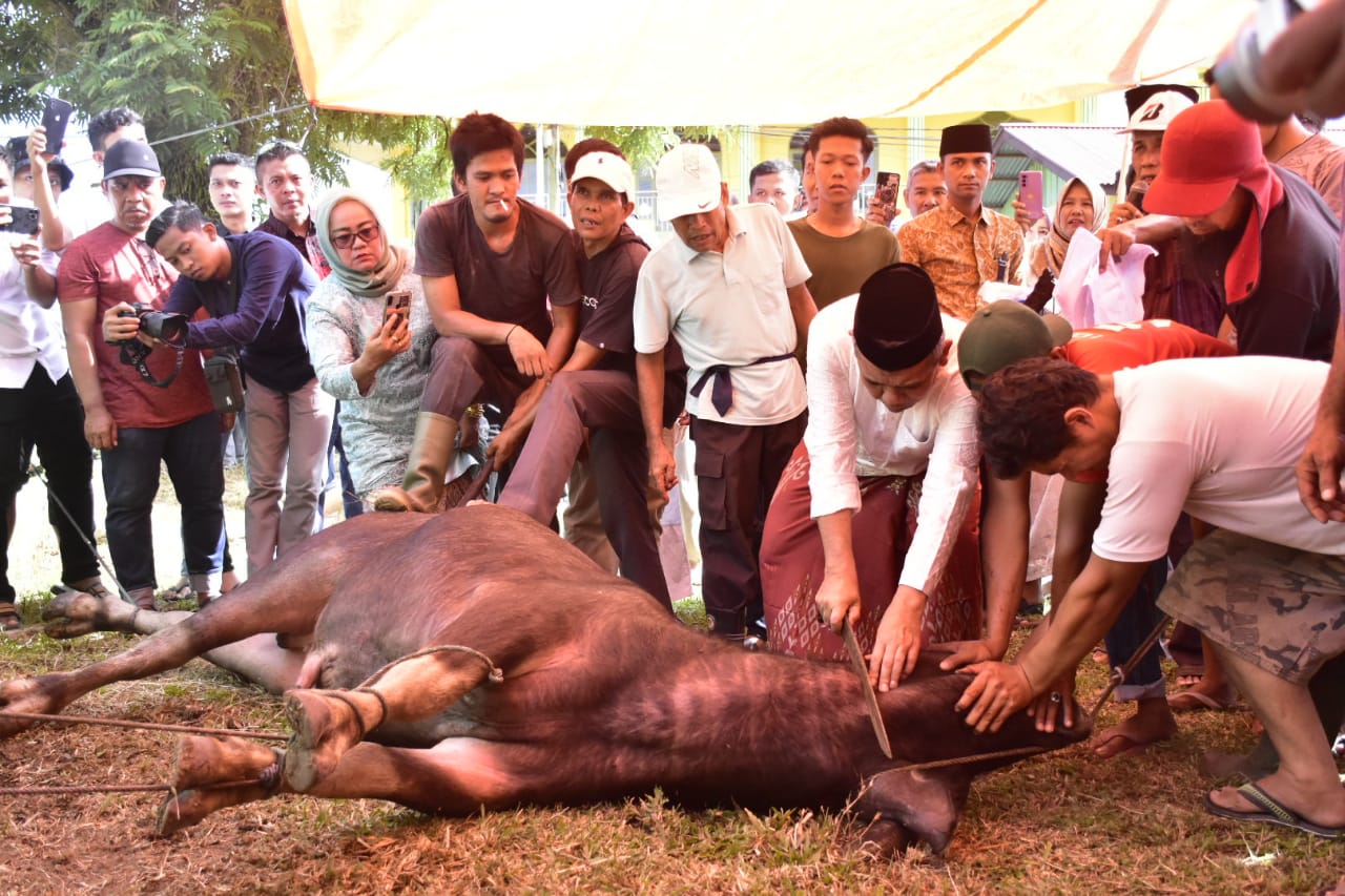Pj Bupati Kampar dan Keluarga Berqurban di Masjid Ar Rahman Pandopo sembelih langsung Hewan Qurban. Pj Bupati Kampar dan Keluarga Berqurban di Masjid Ar Rahman Pandopo sembelih langsung Hewan Qurban.i