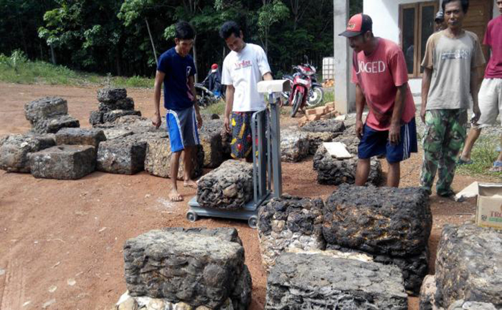 Harga Lelang Karet di Kuansing Naik Jadi Rp 12.206 Per Kilo Harga Lelang Karet di Kuansing Naik Jadi Rp 12.206 Per Kilo