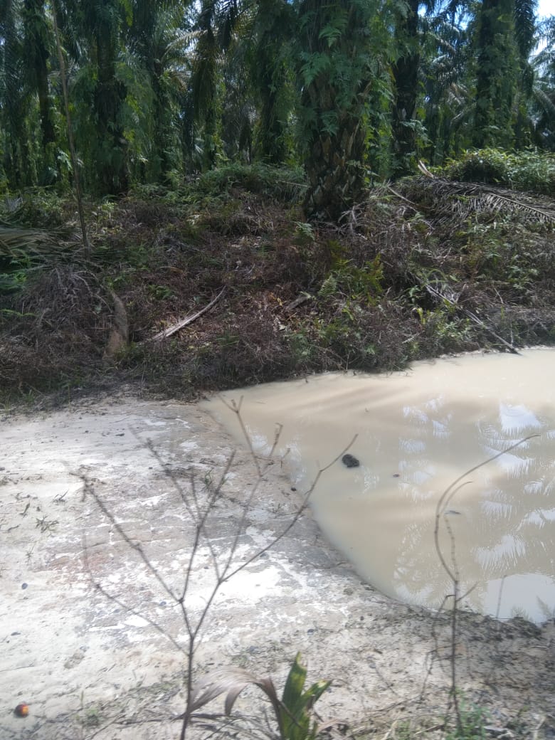 Kejaksaan dan Polisi Dianggap Lamban, Perambah Hutan Lindung Kota Garo Belum Tersentuh Hukum Kejaksaan dan Polisi Dianggap Lamban, Perambah Hutan Lindung Kota Garo Belum Tersentuh Hukumi